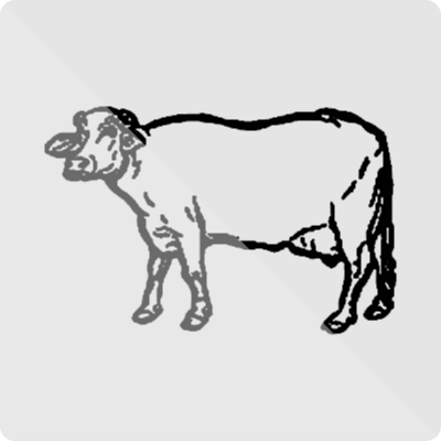 Janata Loktantrik Party, Nepal