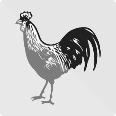 Mongol National Organization