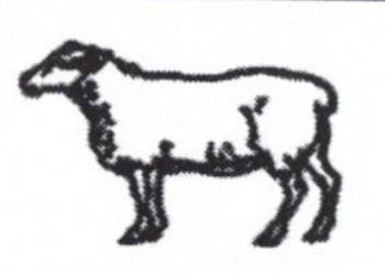 Gandhibadi Party Nepal